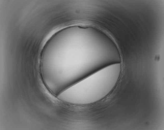 X0000110721099200906121240