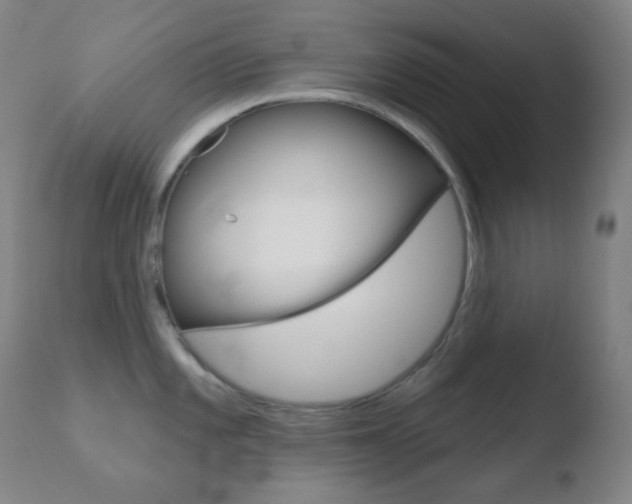 X0000110721101200906121240
