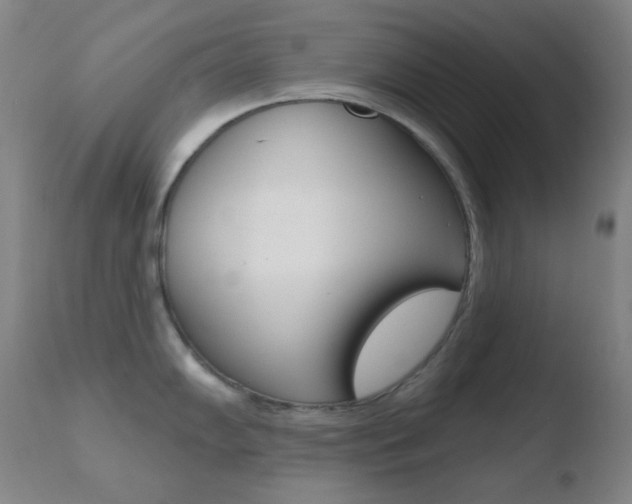 X0000110721102200906121240