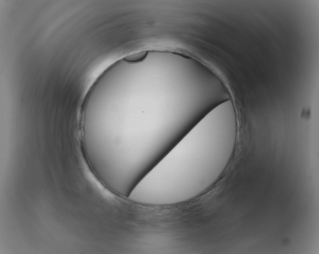 X0000110721103200906121240
