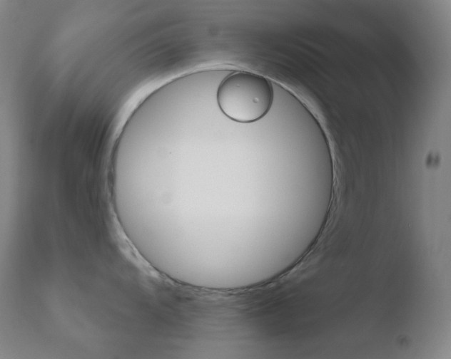 X0000110721104200906121240