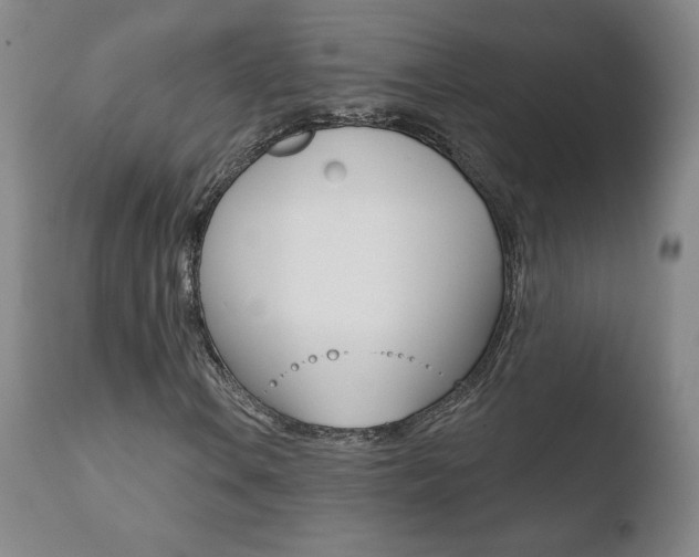 X0000110721106200906121239