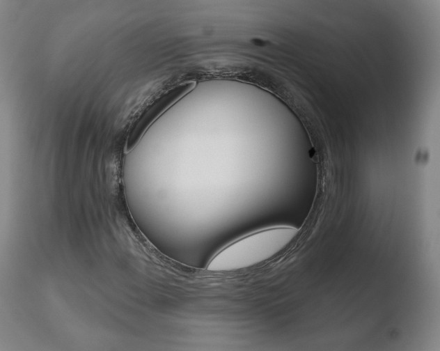 X0000110721108200906121239