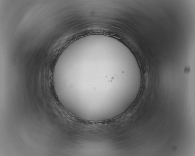 X0000110721111200906121239