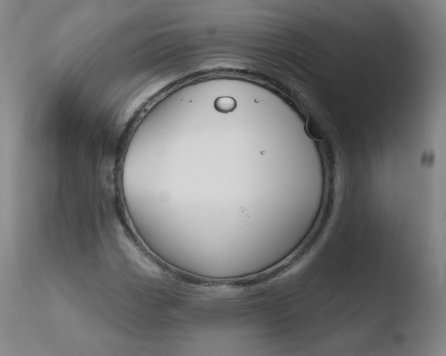 X0000110721113200906121240