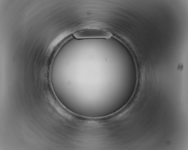 X0000110721114200906121240