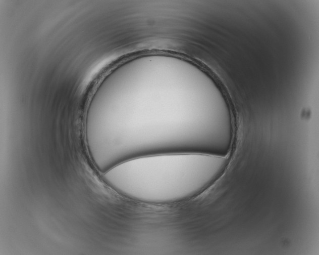 X0000110721115200906121240
