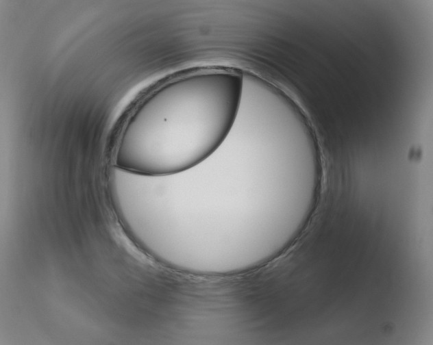 X0000110721116200906121240