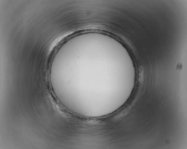 X0000110721117200906121240
