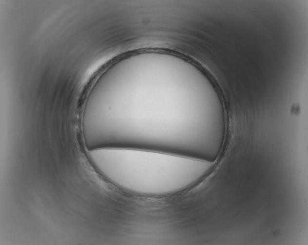 X0000110721119200906121240