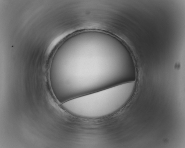 X0000110721120200906121240