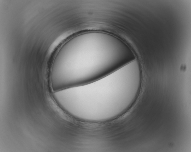 X0000110721122200906121240