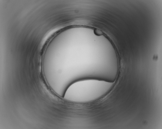 X0000110721123200906121240