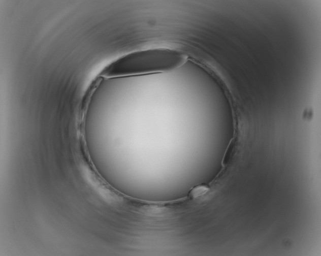 X0000110721124200906121240