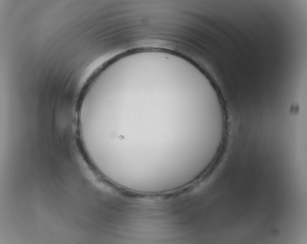 X0000110721125200906121240