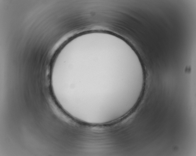 X0000110721126200906121240
