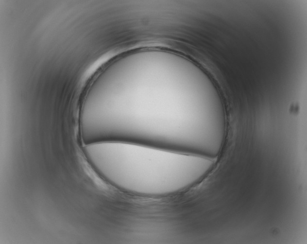 X0000110721127200906121240