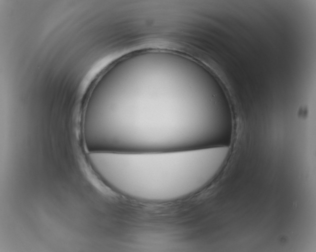 X0000110721128200906121240