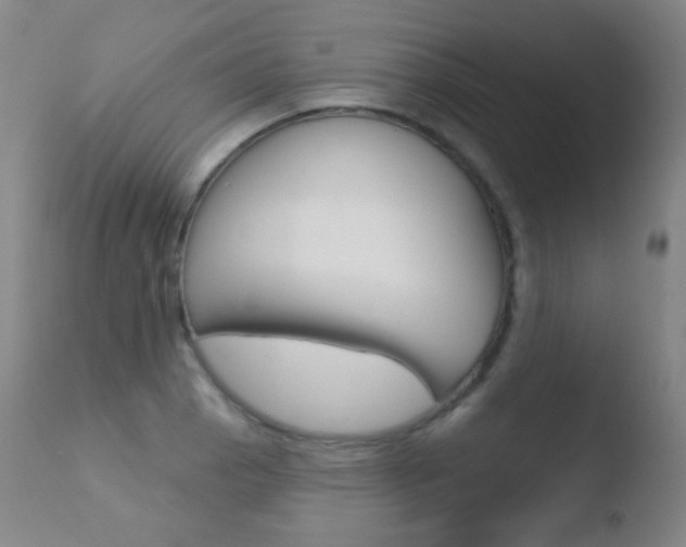 X0000110721129200906121240