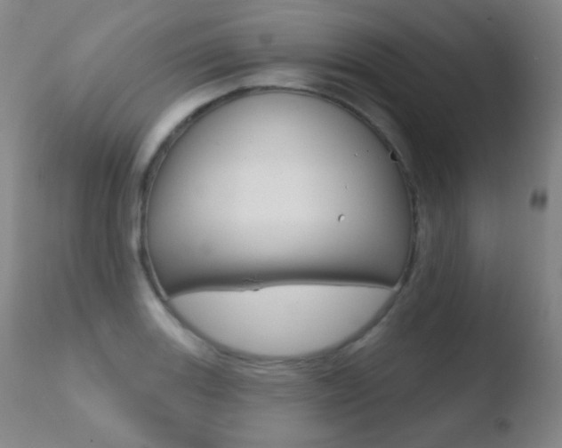 X0000110721131200906121240