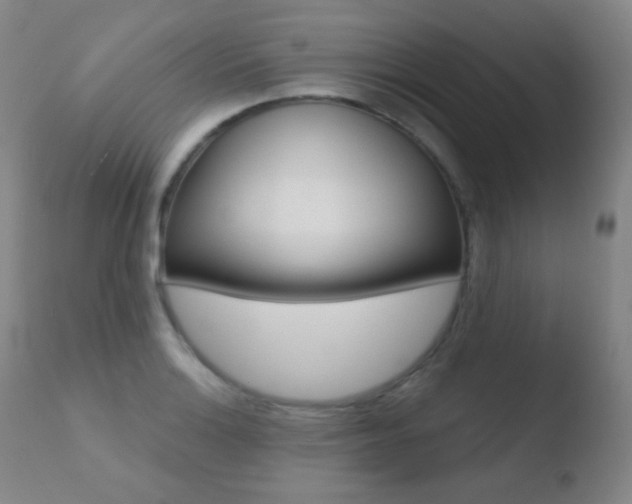 X0000110721132200906121240