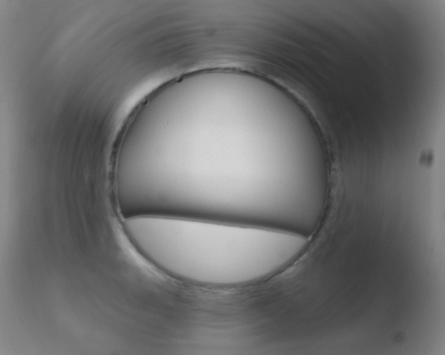 X0000110721135200906121240