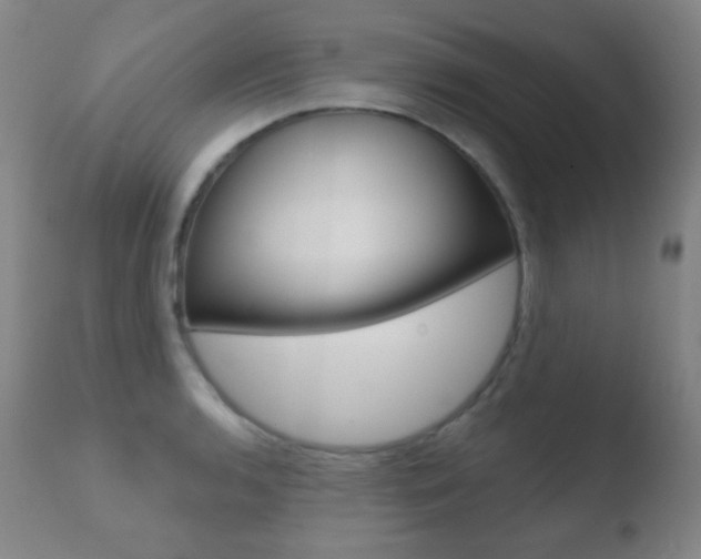 X0000110721136200906121240