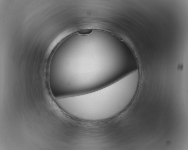 X0000110721138200906121240