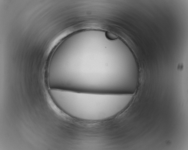X0000110721139200906121240