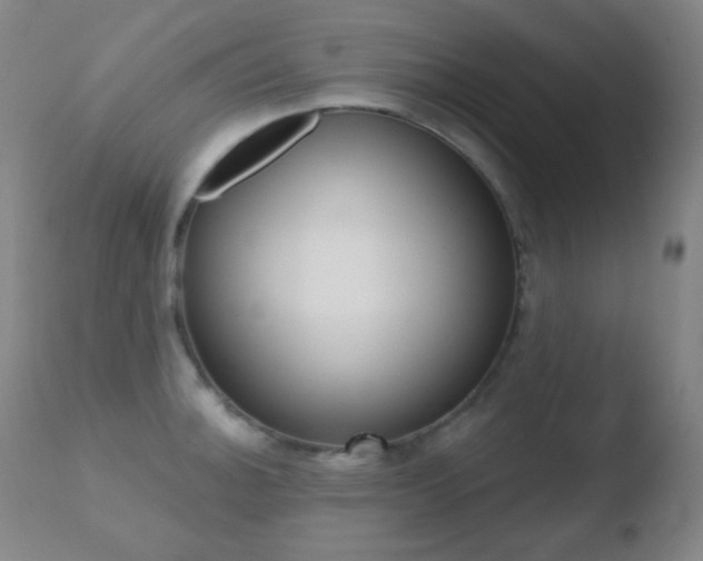 X0000110721140200906121240