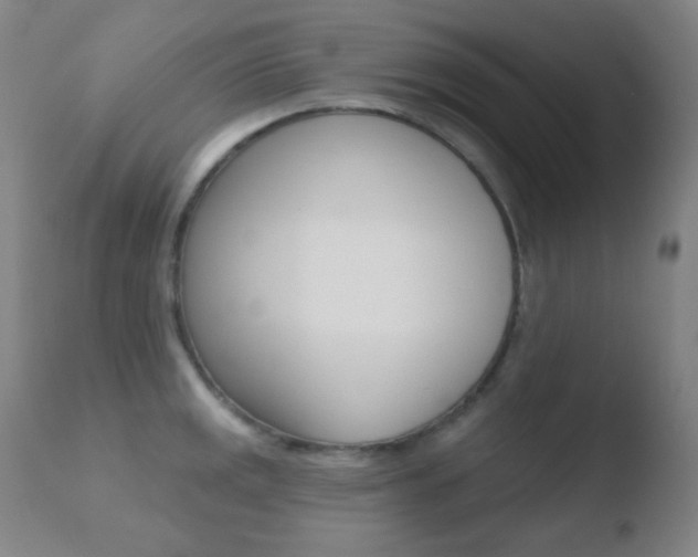 X0000110721141200906121240