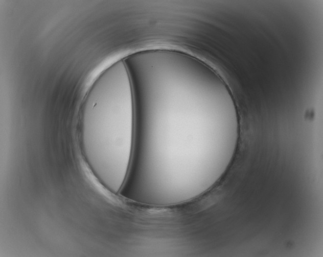 X0000110721142200906121240