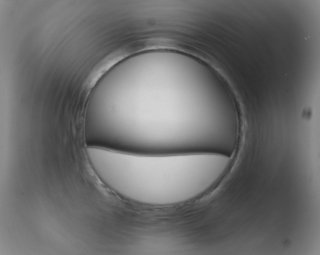 X0000110721145200906121240