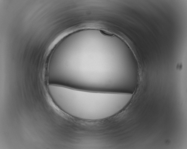 X0000110721147200906121240