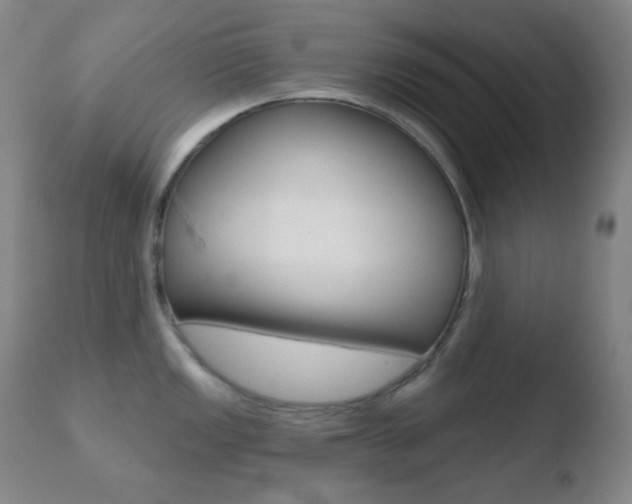 X0000110721149200906121240