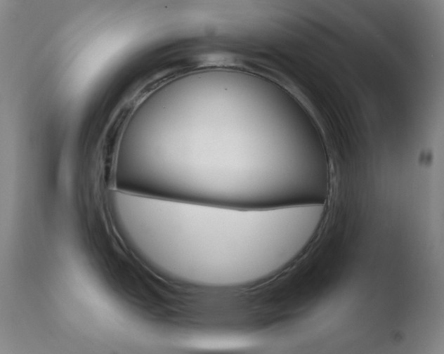 X0000110721151200906121240