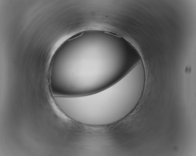 X0000110721152200906121240