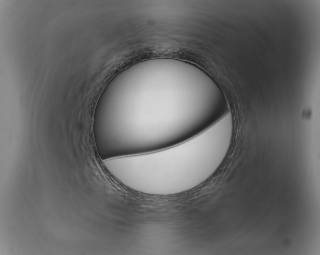 X0000110721153200906121239