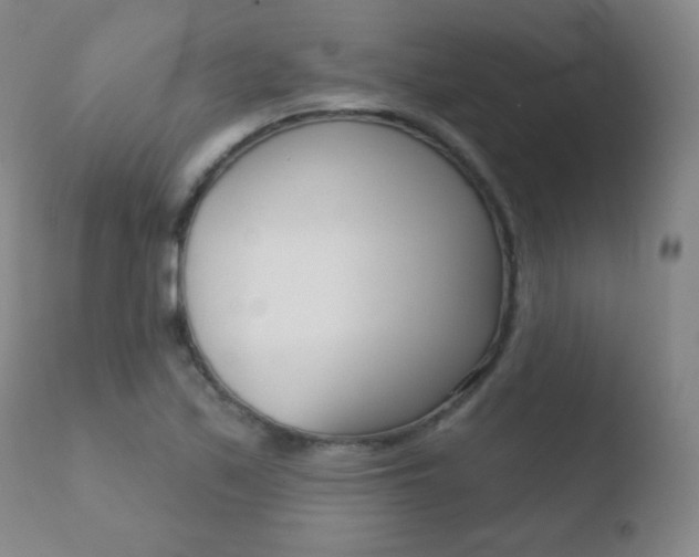 X0000110721171200906121239