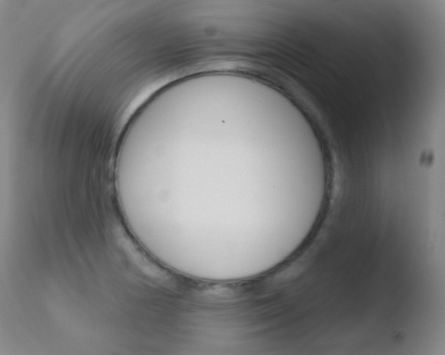 X0000110721178200906121239