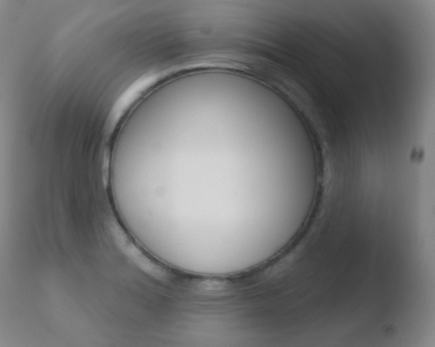 X0000110721180200906121239