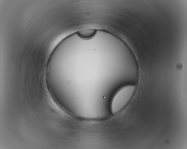 X0000110721187200906121239