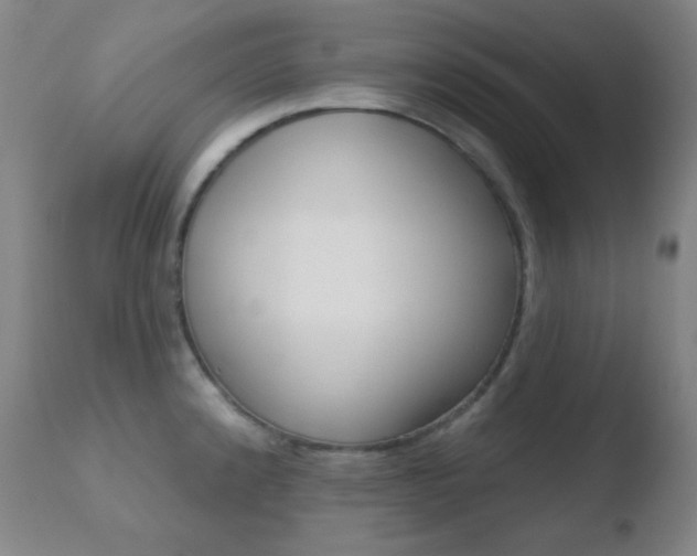 X0000110721192200906121239