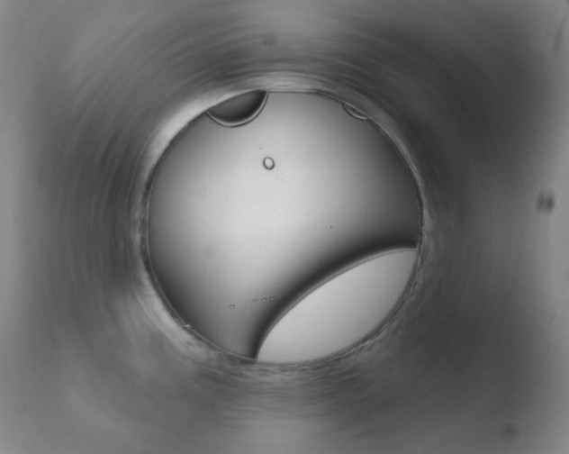 X0000110721195200906121239