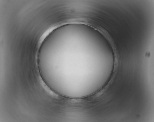 X0000110721196200906121239