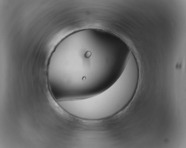 X0000110721200200906121239