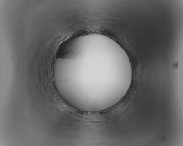 X0000110721201200906121238