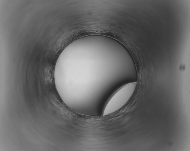 X0000110721202200906121238