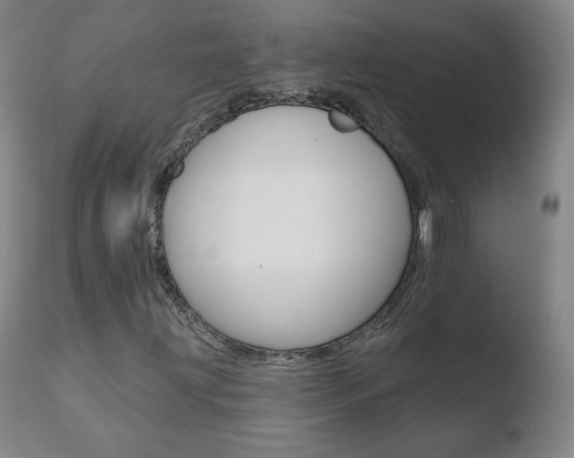 X0000110721203200906121238