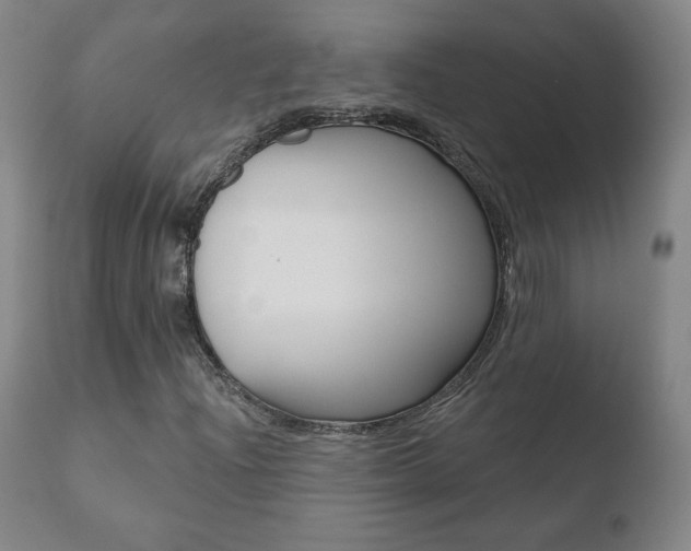 X0000110721204200906121238
